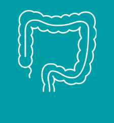 КОЛОНОСКОПИ